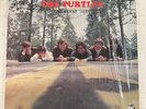 THE TURTLES – GREATEST HITS - VINYL LP BLACK 1ST PRESS RNLP160 RHINO - VG+ - 21