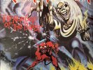 NEAR MINT - Iron Maiden - Nature Of The Beast - ORIGINAL PRESSING - Vinyl Record