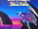 Ann Wilson – Fierce Bliss Vinyl, LP, Album
