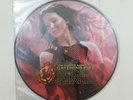 HUNGER GAMES CATCHING FIRE Picture Disc B001911101 2xLP Vinyl VG++ 2013 RARE HTF