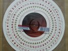 A Perfect Circle ‎- The Doomed / Disillusioned 10