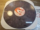 Rare The Distillers Coral Fang Vinyl Gray Purple Marble