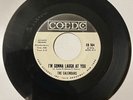 Calendars 1961 DOO WOP 45 I’m Gonna Laugh At You/You’re Too Fast COED DJ M- HEAR