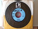vinyl 45. Rick Nelson,  She Belongs to Me.  PROMO.  w/ lyrics insert.  Bob Dylan