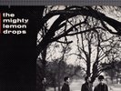 Mighty Lemon Drops – World Without End Vinyl LP