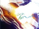 Paul McCartney - Tripping The Live Fantastic - Used Vinyl Record - U12170z