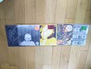  Ty Segall 5 Albums - Ty Segall Emotional Mugger Twins Sleeper Singles 2