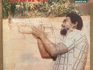 ORQUESTA NUEVA ALEGRIA - EPOCA DE ORO / RARE SALSA GUAGUANCO NEGRO SOY LP TAMAYO