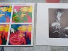 The Teardrop Explodes Everybody Wants To Shag Vinyl LP  Inner  Sleeve Insert Vgc