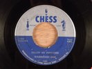 Washboard Sam  Diggin' My Potatoes/Bright Eyes  RARE  Blues, R&B 1953 Chess