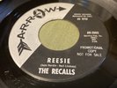 THE RECALLS Nobody's Guy / Reesie 1965 Hear ORIGINAL 7