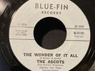 The Ascots The Wonder of It All 1966 Blue-Fin Garage Rock 45 Vinyl