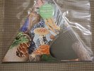 Modest Mouse -Poison the Well RSD triangle picture disc VINYL LP never played