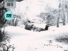 Weezer Sznz: Winter LP Vinyl NEW