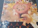 Nirvana Ltd Edition Red Transparent 7” 45 RPM Heart Shaped Box/Marigold Superb