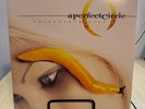 A Perfect Circle Thirteenth Step 2 LP vinyl record black wax Tool
