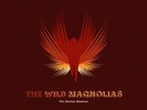 THE WILD MAGNOLIAS BARCLAY SESSIONS NEW LP