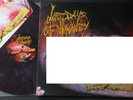 Last Days Of Humanity – Putrefaction In Progress LP VINYL GOREGRIND 2013 Violet