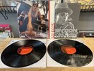 VERY RARE KID ROCK LIMITED EDITION 2 VINYL LP SET DEVIL WITHOUT A CAUSE