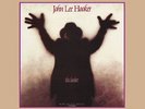 John Lee Hooker - The Healer 2LP 180g 45rpm Limited Edition Vinyl