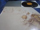 FAMILY  ANYWAY  BESTZUSTAND / MINT ERSTPRESSUNG 1970 PLASTIC SLEEVE
