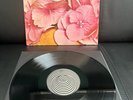 STILL LIFE / Same-LP-Vinyl:NM/Cover:EX - 1st.D. VERTIGO SWIRL 1971