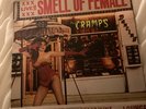 The Cramps. Smell of female. Great condition