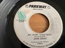 JANIE GRANT...MY HEART, YOUR HEART .. USA DEMO ISSUE SINGLE..PARKWAY..P-982
