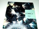 Orbital – Halcyon (1992 FFRR US 12
