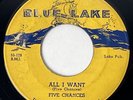FIVE CHANCES All I Want / Shake A Link Blue Lake Doo Wop Original RARE 45 HEAR