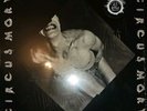 Circus Mort -LAB 11 - 1981 -Post Punk -US - Ultra Rar NM