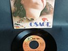 Osage Tribe - A Falcon in the Sky (voice: Franco Battiato) 7