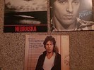 Bruce Springsteen 3 Vinyl LP Lot, Nebraska, The River, Darkness On The Edge.....