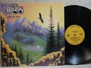 The Dillards Let it Fly 991 LP Lyric W/Insert NM   NM+ Promo Hyper Sticker