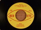 Wild Vybrashons (There's) A Place In The Sun/One Track Mind  Fuzz Garage