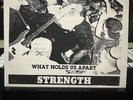 Chain of Strength What Holds Us Apart 7