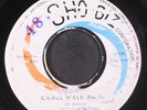 SAXONS: camel walk / part 2 SHO-BIZ 7