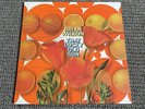 Brian Wilson - That Lucky Old Sun Vinyl Record BLACK 2008 Beach Boys