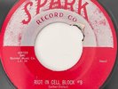 THE ROBINS Riot In Cell Block #9 / Wrap It Up SPARK R&B