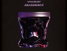 Apache 207 - 2sad2disco Limited Picture Disc Vinyl Edition (2021 - DE - Reissue)