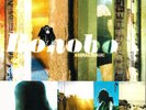 Bonobo Animal Magic (Vinyl) 12