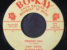 ELROY DIETZEL: teenage ball / precious desires BO-KAY 7