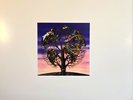 Talk Talk Laughing Stock  LP Album vinyl record 180g reissue 2016 on Polydor