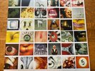 PEARL JAM - No Code  - Epic EU 1st PRESS C Set - 1996 Complete  NEAR MINT LP