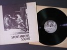 Spontaneous Sound Free Jazz Improvisation Private Press LP Christopher Tree RARE