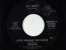 Funk Boogie New Wave 45 - Trisign - Love Among The Ruins - J-Art - VG++