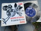 Q65 world of birds Dutch 7