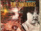 The CRANBERRIES Uncertain 12” Vinyl 1991. (xer 014T), Rare