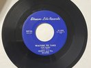Skippy & Hi-Lites DOO WOP 45 Waiting To Take You Home / Old Man River VG++ HEAR