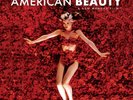 Thomas Newman - American Beauty (Original Motion Picture Score) LP NEW Colored V